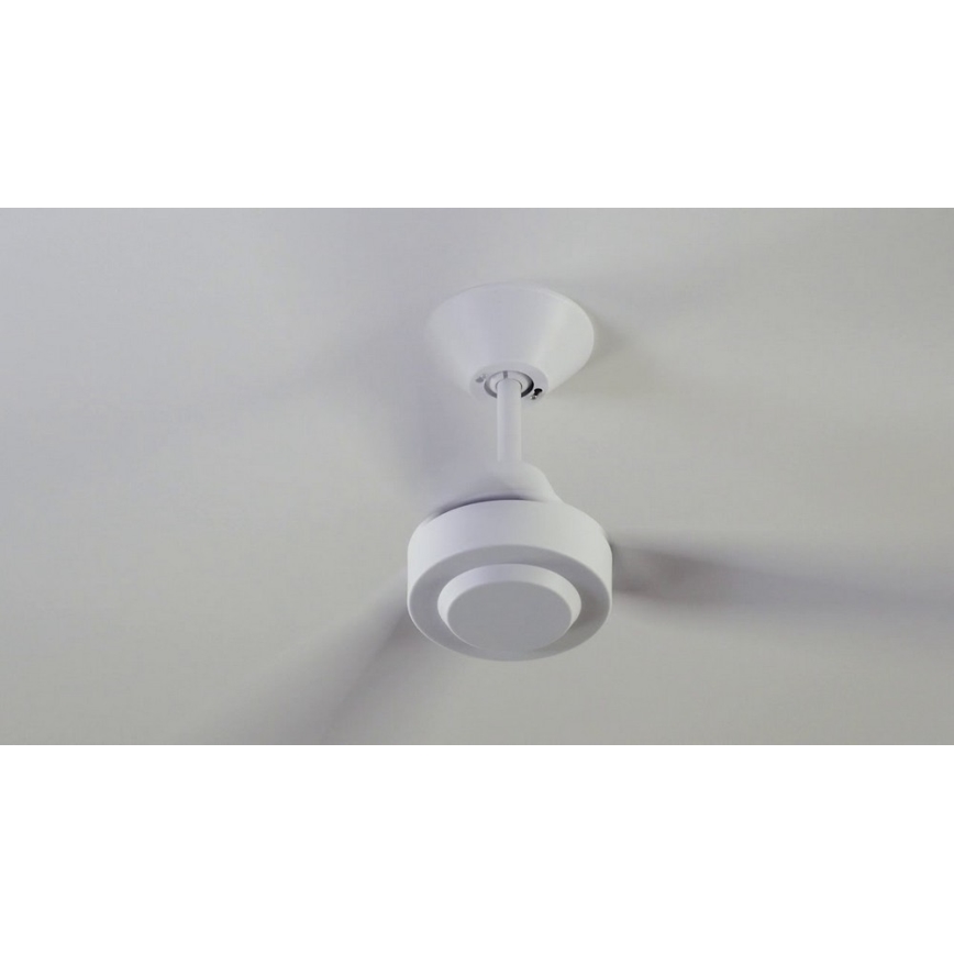 BAYSIDE 213015 - Потолочный вентилятор CALYPSO белый