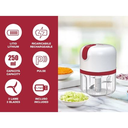 Beper - акумуляторний кухонний подрібнювач 30 Вт/5 В 1500 мА·год 250 мл