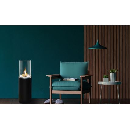 Биокамин ROMA 26,5x80,5 см 2 кВт чёрный + защитный чехол