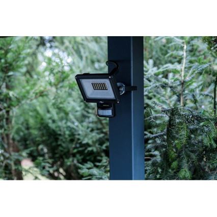 Brennenstuhl - Вуличний світлодіодний прожектор з датчиком LED/20W/230V 6500K IP65