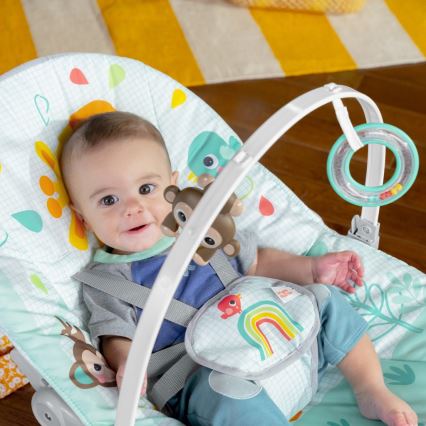 Bright Starts - Детское вибрирующее кресло-качалка WILD VIBES 1xLR14