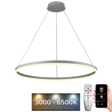 Brilagi - диммируемая LED-люстра на тросе CIRCLE LED/55Вт/230В 3000-6500К диам. 80 см белая + пульт дистанционного управления