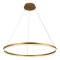 Brilagi - диммируемая LED-люстра на тросе CIRCLE LED/55W/230V 3000-6500K диаметр 80 см золотая + дистанционное управление