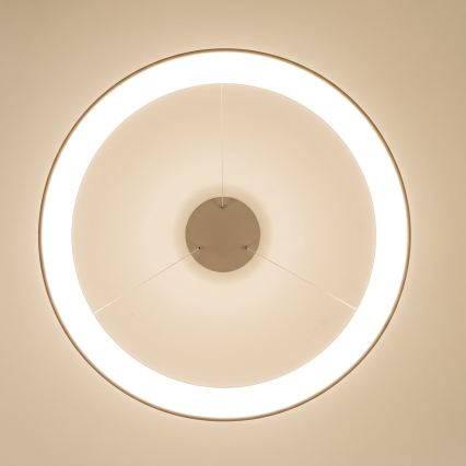 BRILAGI - LED Диммируемая люстра на тросе FALCON II LED/108W/230V 3000-6500K Ø 80 см бежевая + пульт дистанционного управления