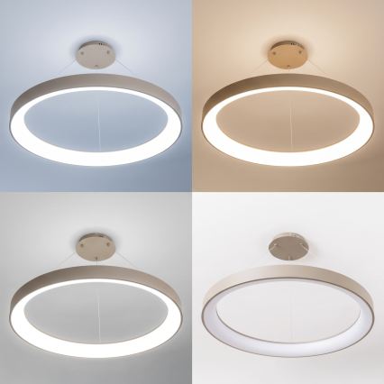 BRILAGI - LED Диммируемая люстра на тросе FALCON II LED/108W/230V 3000-6500K Ø 80 см бежевая + пульт дистанционного управления