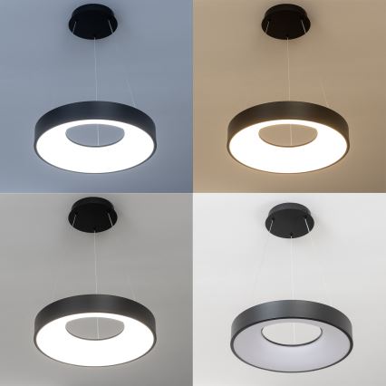 Brilagi - LED диммируемая подвесная люстра на тросе FALCON II LED/67W/230V 3000-6500K Ø 40 см черная + пульт дистанционного управления