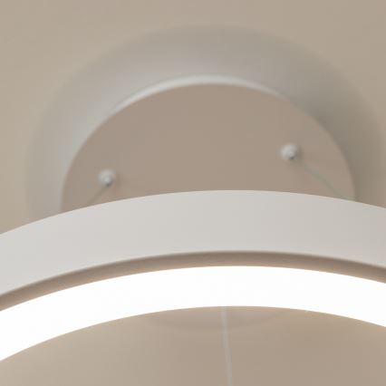 Brilagi - Диммируемая светодиодная люстра на тросе FALCON II LED/99W/230V 3000-6500K Ø 60 см белая + пульт дистанционного управления