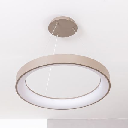 BRILAGI - LED диммируемая люстра на тросе FALCON II LED/99W/230V 3000-6500K диам. 60 см бежевая + пульт дистанционного управления