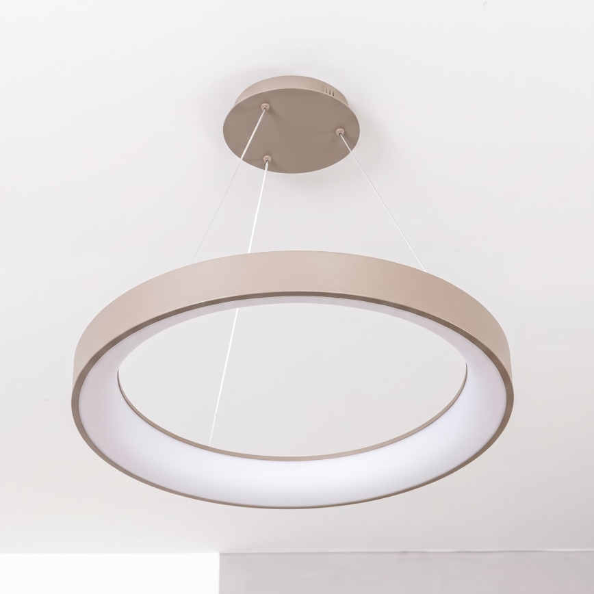 BRILAGI - LED диммируемая люстра на тросе FALCON II LED/99W/230V 3000-6500K диам. 60 см бежевая + пульт дистанционного управления