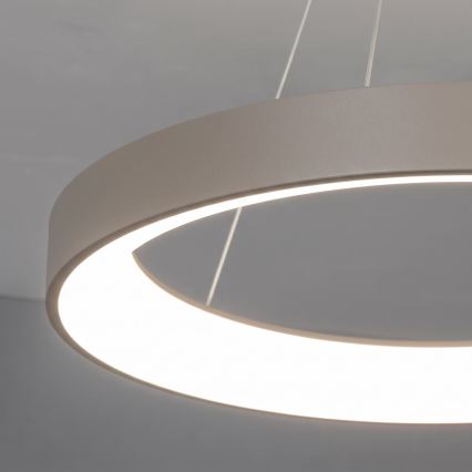 BRILAGI - LED диммируемая люстра на тросе FALCON II LED/99W/230V 3000-6500K диам. 60 см бежевая + пульт дистанционного управления