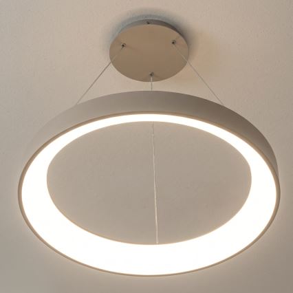 BRILAGI - LED диммируемая люстра на тросе FALCON II LED/99W/230V 3000-6500K диам. 60 см бежевая + пульт дистанционного управления