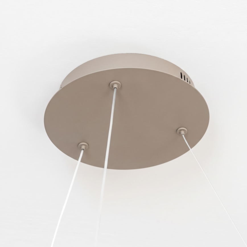 BRILAGI - LED диммируемая люстра на тросе FALCON II LED/99W/230V 3000-6500K диам. 60 см бежевая + пульт дистанционного управления