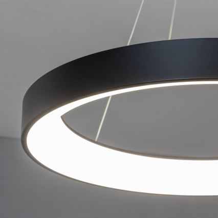 Brilagi - Диммируемая LED-люстра на тросе FALCON II, 99 Вт / 230 В, 3000–6500 K, диаметр 60 см, чёрная + пульт дистанционного управления
