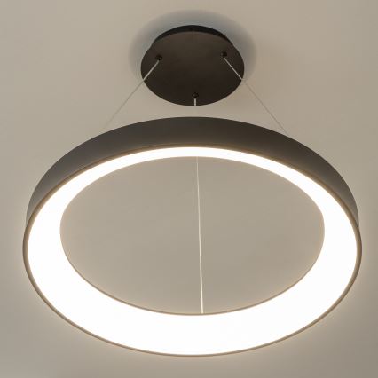 Brilagi - Диммируемая LED-люстра на тросе FALCON II, 99 Вт / 230 В, 3000–6500 K, диаметр 60 см, чёрная + пульт дистанционного управления