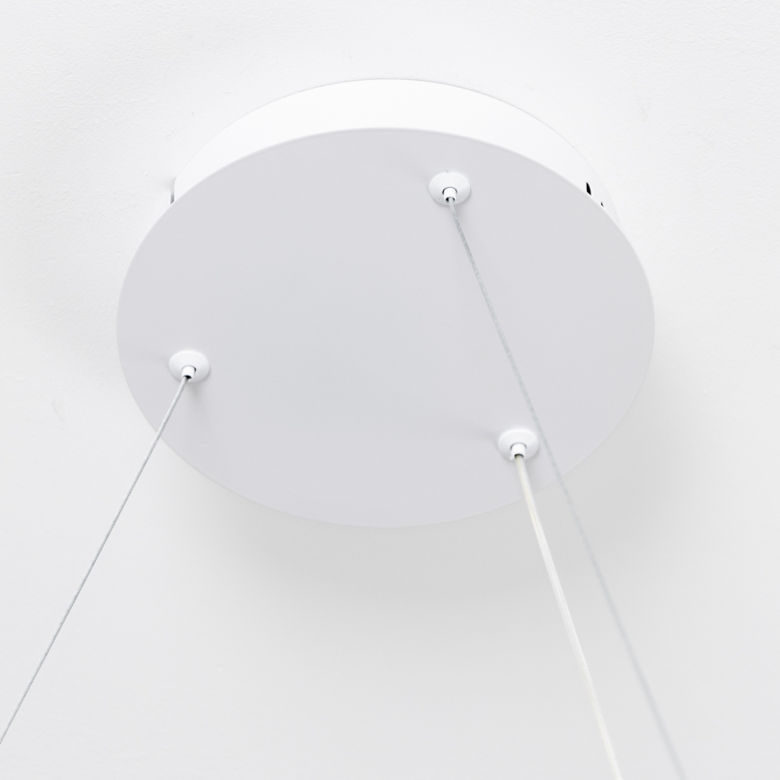 Brilagi - Диммируемая LED-подвесная люстра на тросе FALCON SLIM LED/42W/230V 3000-6500K диаметр 50 см белая + пульт дистанционного управления