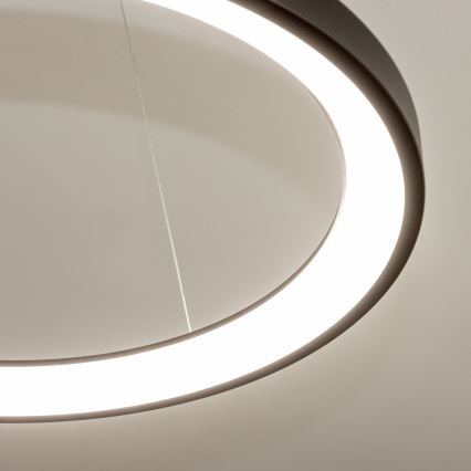 Brilagi - светодиодная диммируемая подвесная люстра на тросе FALCON SLIM LED/42W/230V 3000-6500K, диаметр 50 cm, черная + пульт дистанционного управления
