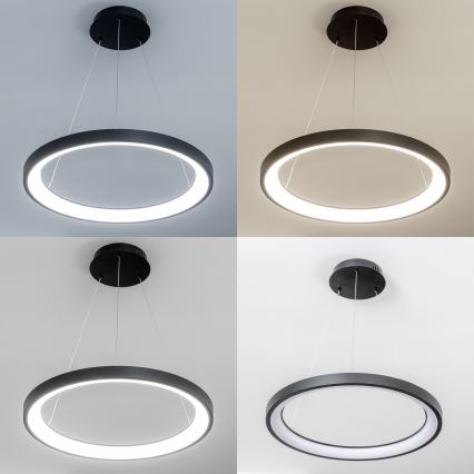 Brilagi - светодиодная диммируемая подвесная люстра на тросе FALCON SLIM LED/42W/230V 3000-6500K, диаметр 50 cm, черная + пульт дистанционного управления