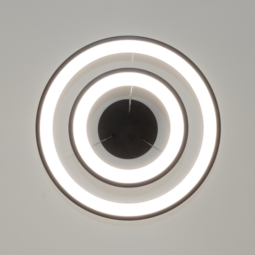 Brilagi - LED диммируемая люстра на тросе FALCON SLIM LED/68W/230V 3000-6500K Ø 50 см чёрная + пульт дистанционного управления