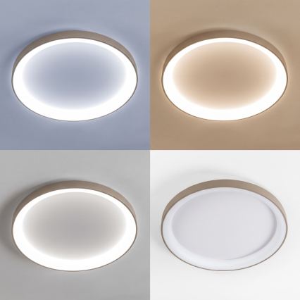 BRILAGI - LED диммируемый потолочный светильник FALCON II LED/108W/230V 3000-6500K диаметр 80 см белый/бежевый + пульт дистанционного управления