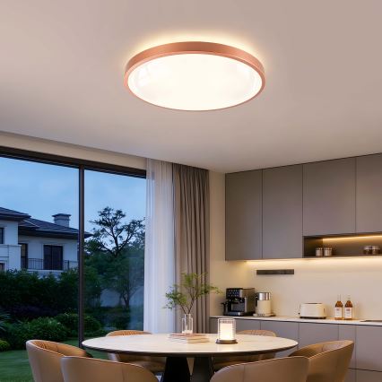 BRILAGI - Светодиодный диммируемый потолочный светильник GLASS POOL DOUBLE LED/60W/230V, диаметр 50 см, медный + пульт дистанционного управления