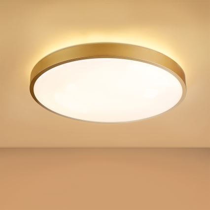 Brilagi - Диммируемый светодиодный потолочный светильник GLASS POOL DOUBLE LED/60 Вт/230 В 3000–6000 К 50 см золотой + дистанционный пульт управления