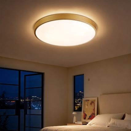 Brilagi - Диммируемый светодиодный потолочный светильник GLASS POOL DOUBLE LED/60 Вт/230 В 3000–6000 К 50 см золотой + дистанционный пульт управления
