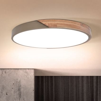 BRILAGI - LED Потолочный светильник с регулировкой яркости PILANA LED/60W/230V 3000-6500K дуб/бежевый, диаметр 60 см + пульт дистанционного управления