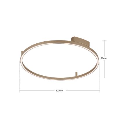 BRILAGI - диммируемый потолочный светильник PORTOFINO, LED/60 Вт/230 В, 3000–6000 К, диаметр 80 см, бежевый + пульт дистанционного управления