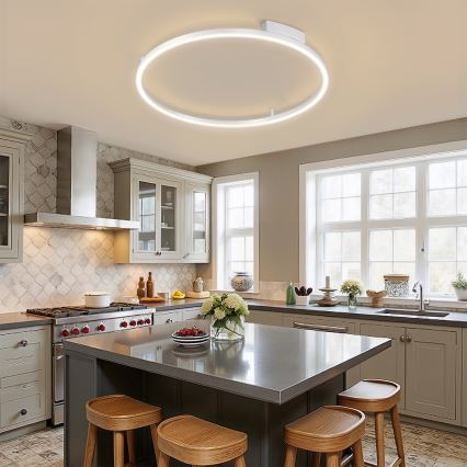 Brilagi - Диммируемый потолочный светильник PORTOFINO LED/60W/230V 3000-6000K диам. 80 см серебристый + пульт дистанционного управления