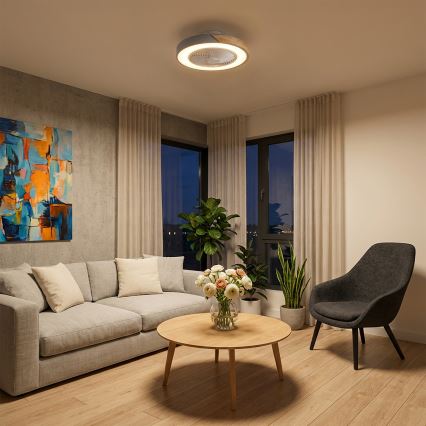 Brilagi - диммируемый потолочный светильник с вентилятором, LED 38 Вт, 230 В, 3000–6500 К, диаметр 50 см, серый/дуб, с пультом дистанционного управления