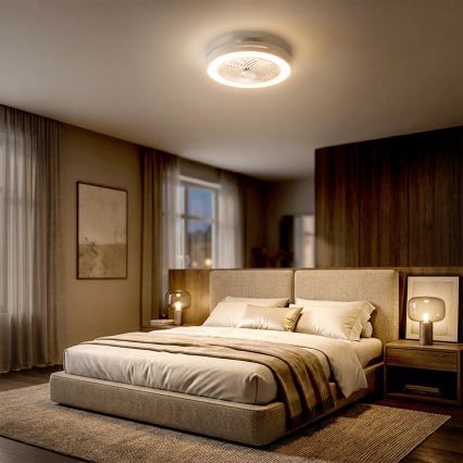 Brilagi — диммируемый потолочный светильник с вентилятором, светодиодный 38 Вт, 230 В, 3000–6500 К, Ø 46 см, белый, с дистанционным управлением