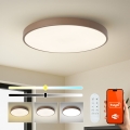 Brilagi - диммируемый LED‑светильник POOL SMART LED/100W/230V, диам. 80 cm, Wi‑Fi Tuya + пульт дистанционного управления, коричневый