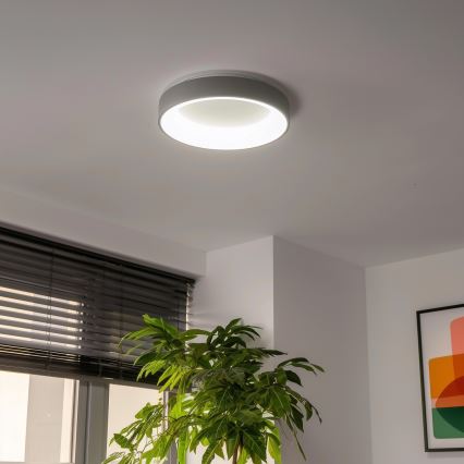Brilagi - диммируемый потолочный светильник FALCON LED/40W/230V 3000-6500K диаметр 45 см серый + дистанционное управление