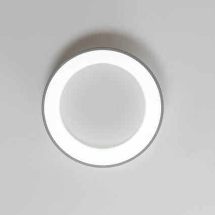 Brilagi - диммируемый потолочный светильник FALCON LED/40W/230V 3000-6500K диаметр 45 см серый + дистанционное управление