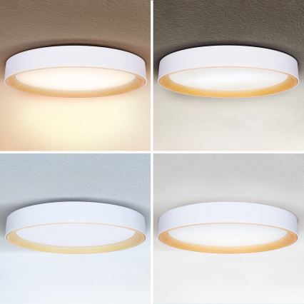 Brilagi - диммируемый потолочный светильник LARIOS LED/72W/230V 3000-6500K белый, диаметр 59 см + пульт дистанционного управления