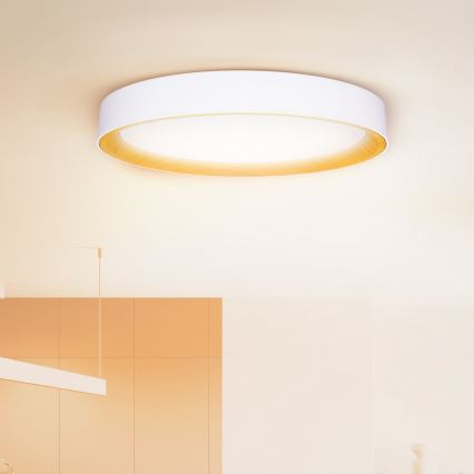 Brilagi - диммируемый потолочный светильник LARIOS LED/72W/230V 3000-6500K белый, диаметр 59 см + пульт дистанционного управления