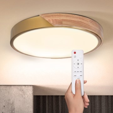 BRILAGI - диммируемый потолочный светильник PILANA LED/48W/230V 3000-6500K дуб/золотой, диаметр 40 см + пульт дистанционного управления