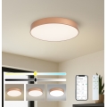 BRILAGI - диммируемый потолочный светильник POOL SMART LED/60W/230V 3000-6000K диаметр 50 см Wi-Fi Tuya бронзовый + пульт дистанционного управления