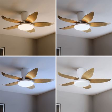 Brilagi - диммируемый потолочный вентилятор с LED, 32 Вт, 230 В, 3000–6500 К, диаметр 95 см, белый/коричневый + пульт дистанционного управления