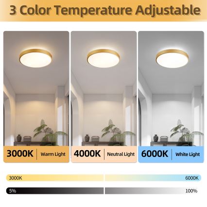 Brilagi - Диммируемый светодиодный потолочный светильник GLASS POOL DOUBLE LED/48 Вт/230 В 3000-6000K 40 см золотой + пульт дистанционного управления