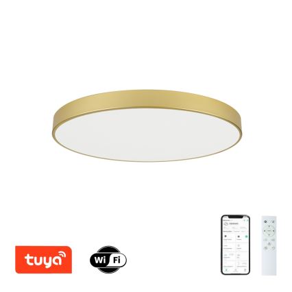 Brilagi - LED диммируемый потолочный светильник POOL SMART LED/100W/230V 3000-6000K 80 см золотой Wi-Fi Tuya + пульт дистанционного управления