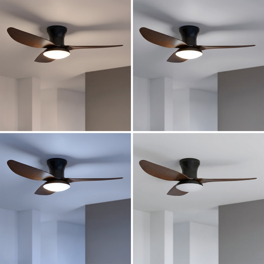 Brilagi - LED Диммируемый потолочный вентилятор LED/38W/230V 100 cm черный/коричневый + дистанционное управление