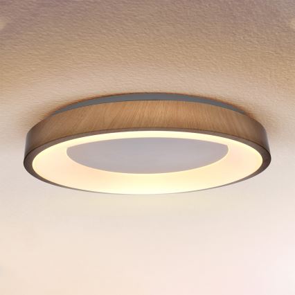 Brilagi - LED диммируемый потолочный светильник DORIA LED/60W/230V 3000-6500K Ø 60 cm + пульт дистанционного управления