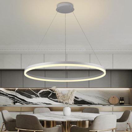 Brilagi - затемнювана LED-люстра на тросі CIRCLE LED/55W/230V 3000-6500K діаметром 80 см біла + пульт дистанційного керування