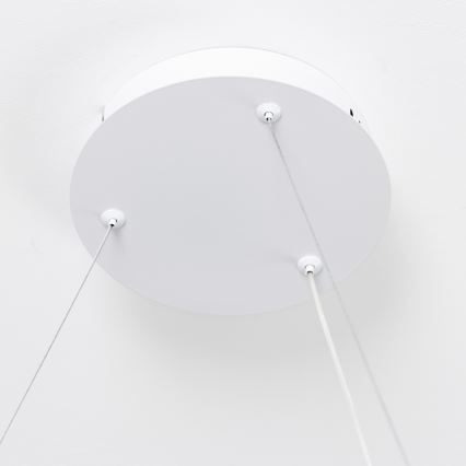 Brilagi - затемнювана LED-люстра на тросі FALCON SLIM LED/42 Вт/230 В/3000-6500 К, діаметр 50 см, біла + пульт дистанційного керування
