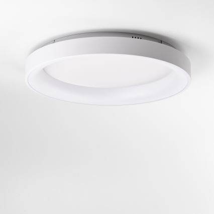 Brilagi - Димований стельовий світлодіодний світильник FALCON II LED, 99 Вт, 230 В, 3000–6500 К, діаметр 60 см, білий + пульт дистанційного керування
