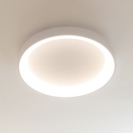 Brilagi - LED стельовий світильник з регулюванням яскравості FALCON II LED/99Вт/230В 3000-6500К діам. 60 см білий + пульт дистанційного керування