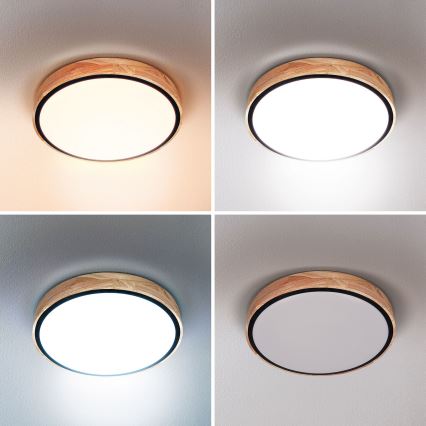 Brilagi - Регульований LED стельовий світильник GLORIA LED/48 Вт/230 В 3000–6500 К, дуб, діаметр 40 см + пульт дистанційного керування