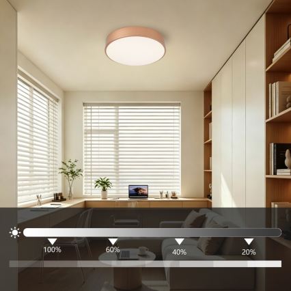 BRILAGI - LED стельний світильник із регульованою яскравістю POOL LED/36W/230V 3000-6000K, діаметр 30 см, бронзовий + пульт дистанційного керування