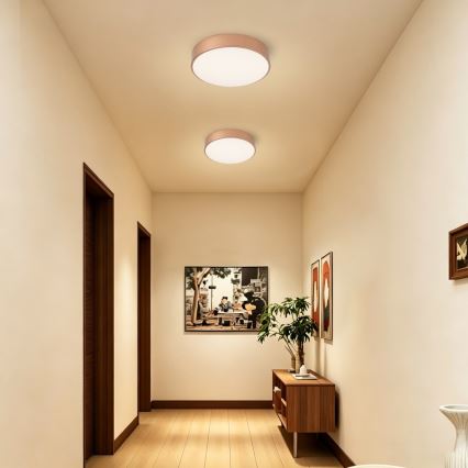BRILAGI - LED стельний світильник із регульованою яскравістю POOL LED/36W/230V 3000-6000K, діаметр 30 см, бронзовий + пульт дистанційного керування